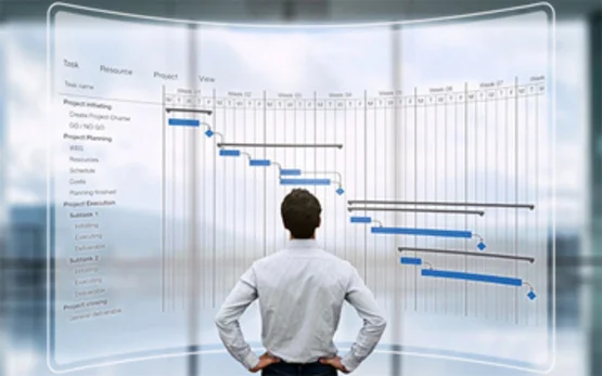Project management drug delivery systems and combination products